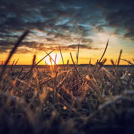 Appartementhaus Westerloog 10-balkon * Spiekeroog