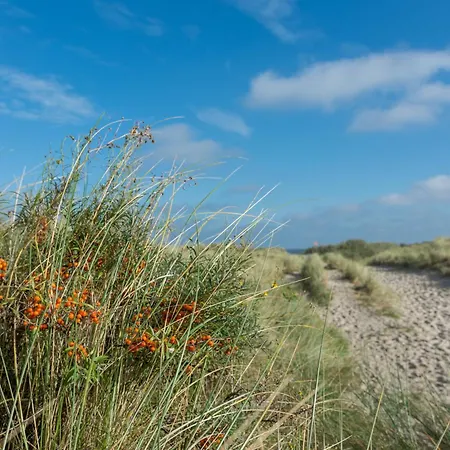 Lejlighed Appartementhaus Westerloog 10-balkon Spiekeroog